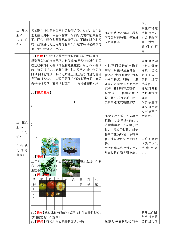 八年级生物下册 第5单元 第1章 第3节 生物进化的历程教案