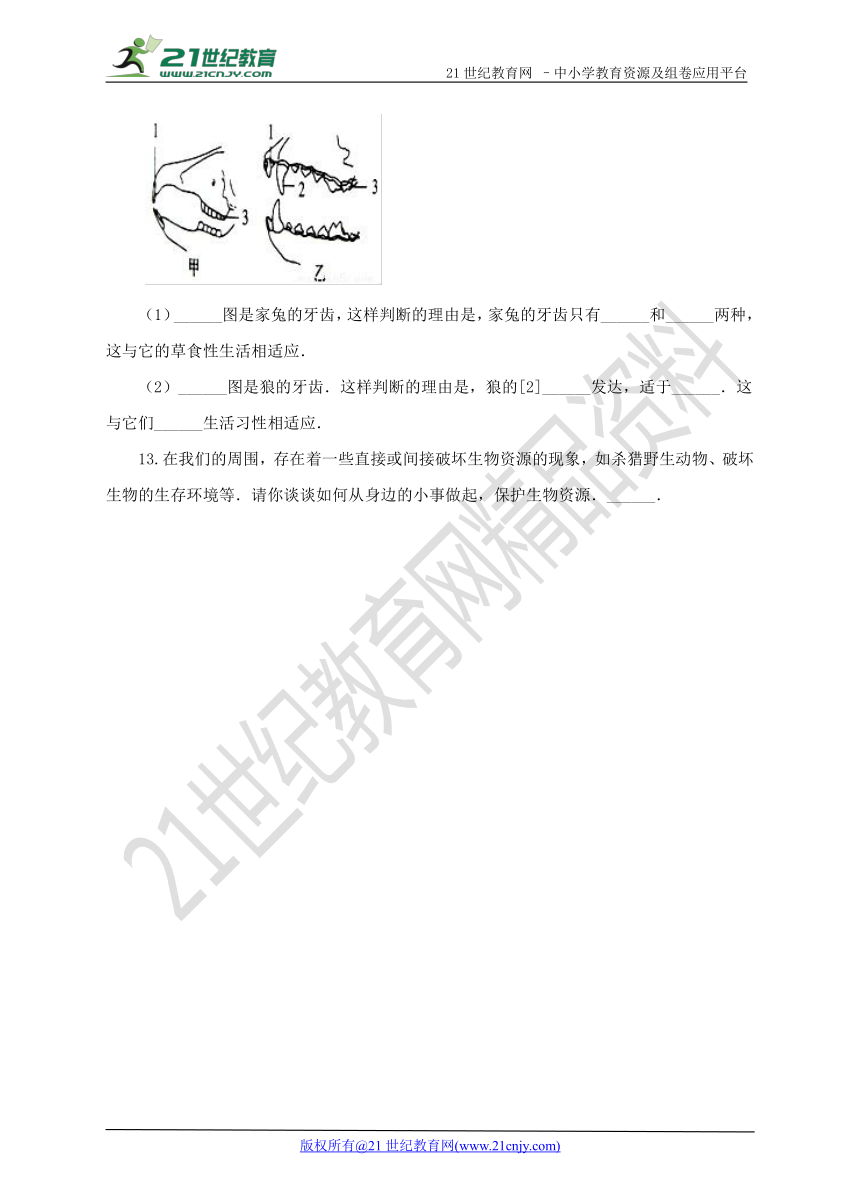 第二单元第二章第二节 《脊椎动物的主要类群》第4课时（同步练习）