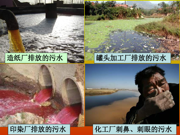 3.3水污染及其防治 课件（13张PPT）