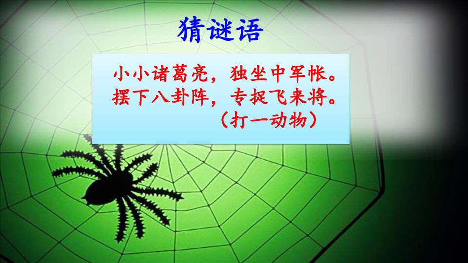 二年级下册语文课件 -  蜘蛛开店  人教部编版（40张PPT）