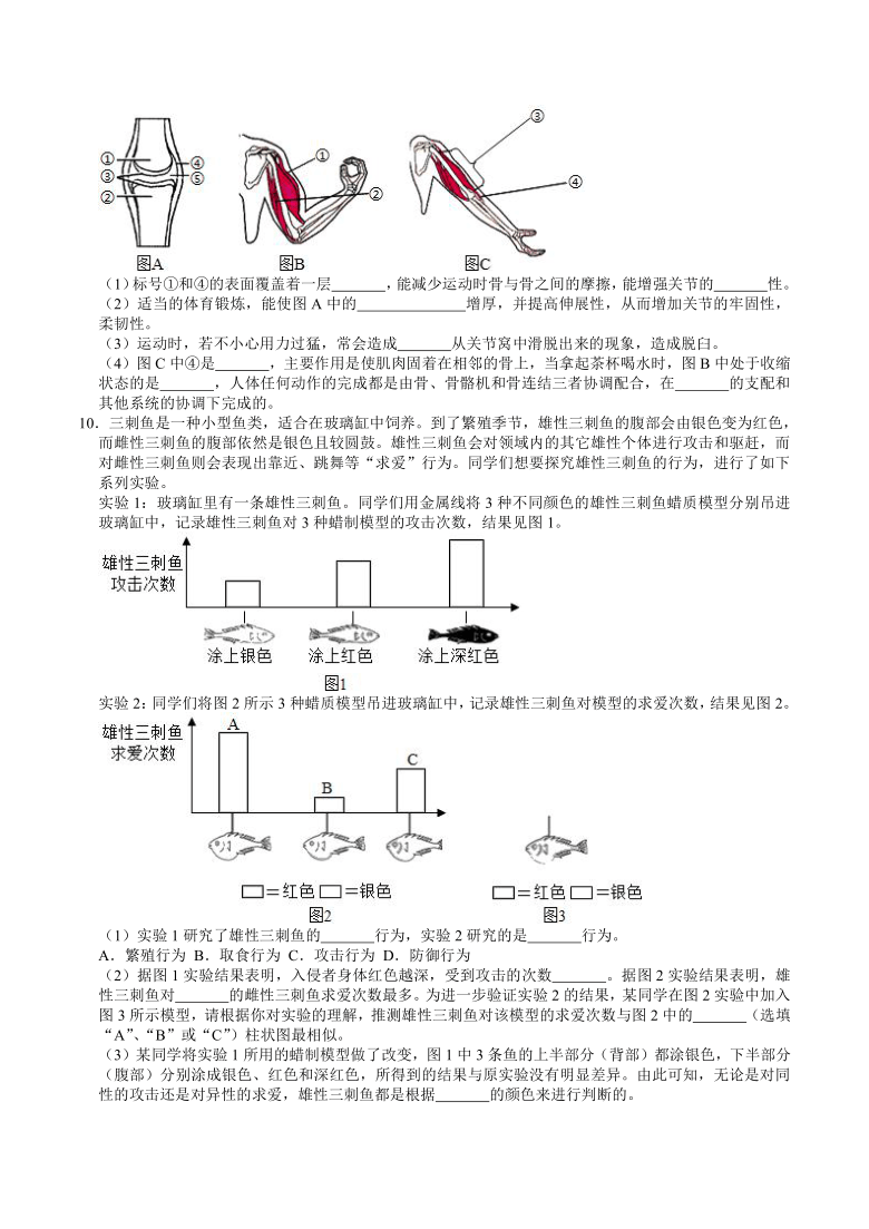 人教版初中生物中考专题训练——实验探究题（2）（word版含解析）