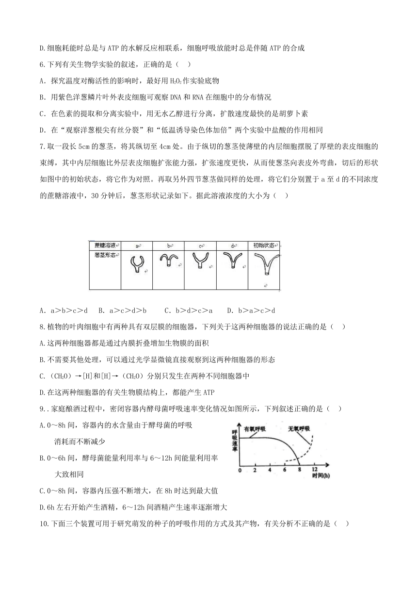 陕西省黄陵中学2017届高三上学期期末考试（重点班）生物试题 Word版含答案