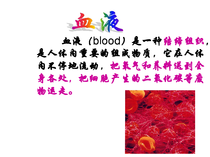 苏教版七下生物 10.1血液和血型（第1课时）课件(22张PPT)