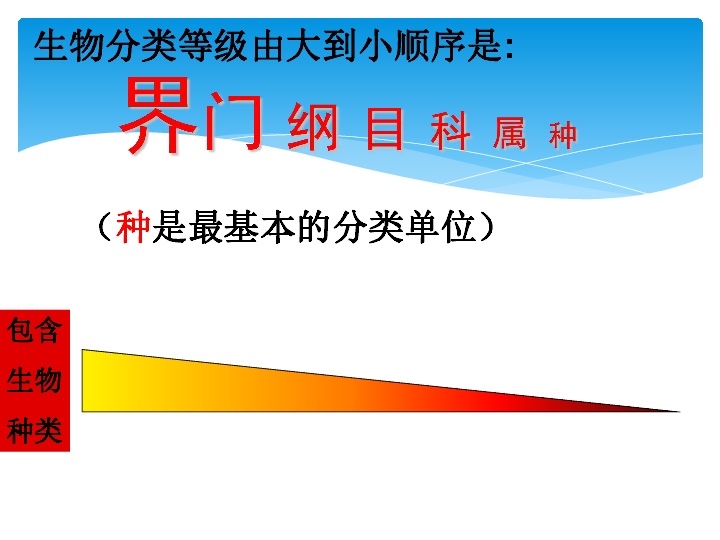 人教版八年级生物上册6.1.2从种到界课件（23张PPT）