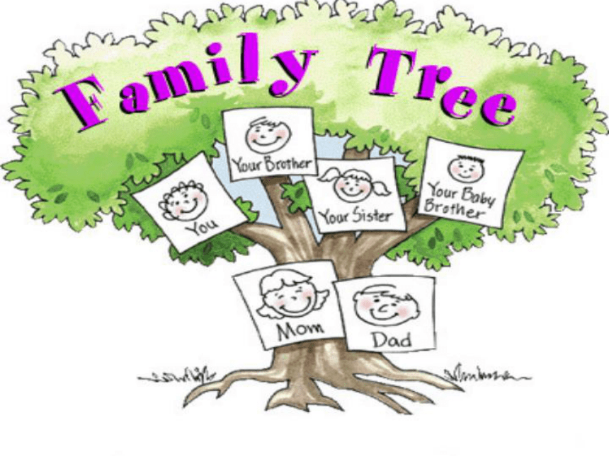Unit 11 Our family tree 课件