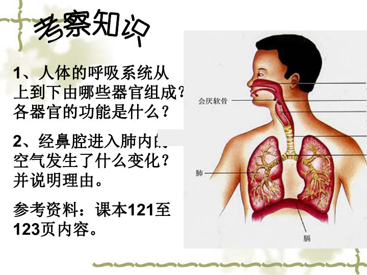 华师大版科学八年级上册5.2人体的呼吸 (课件 共32张PPT)
