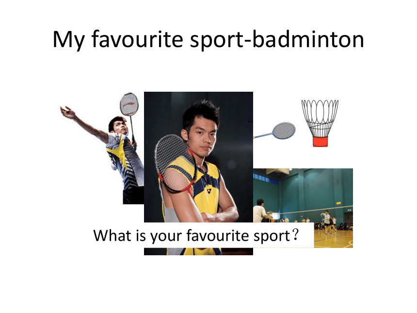 Unit 6 What are your favorite sports Lesson 19 课件+素材