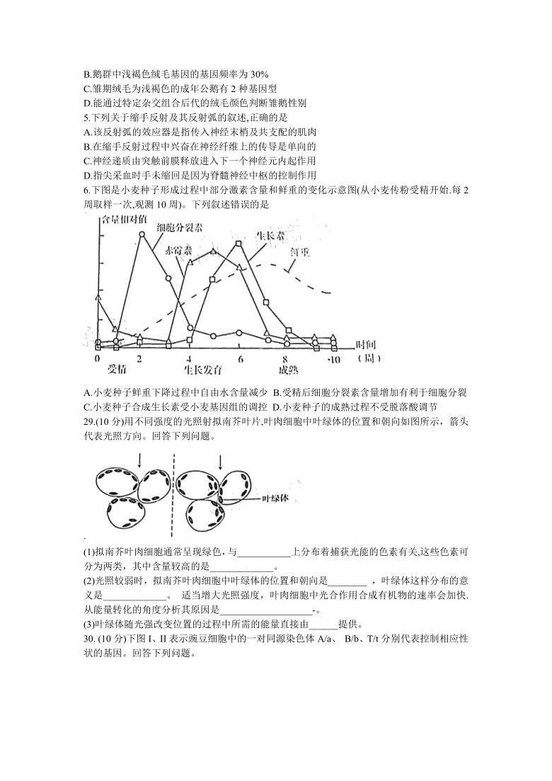 新疆维吾尔自治区2021届高三下学期普通高考第一次适应性检测（3月）理科综合生物试题   含答案