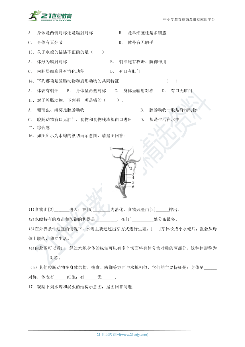 4.2 腔肠动物和扁形动物 练习