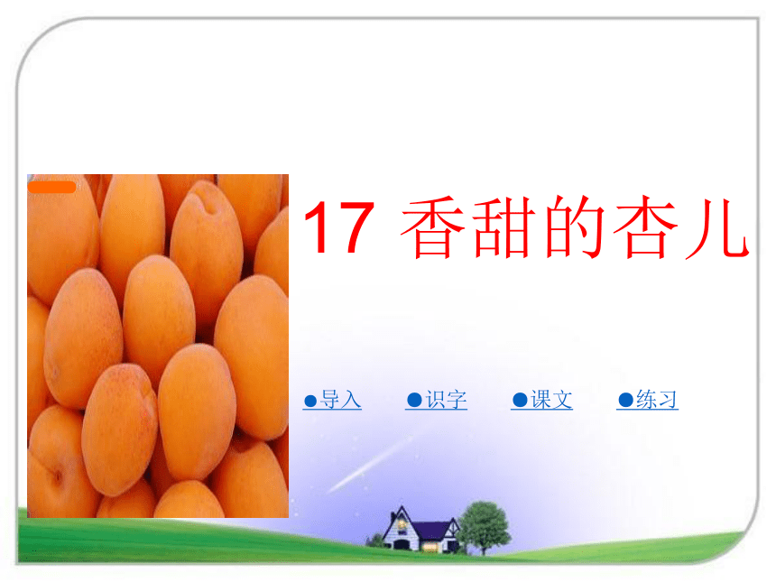 17香甜的杏儿课件