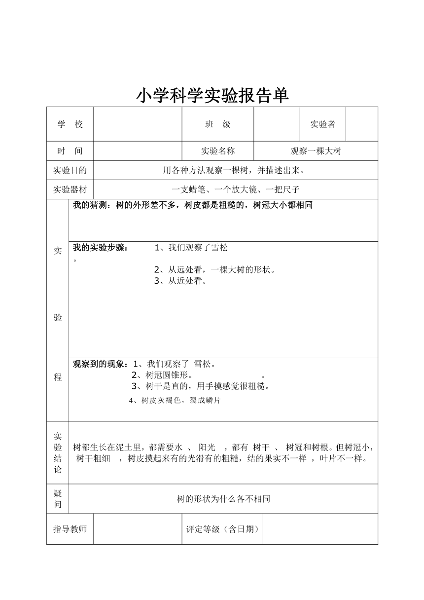 教科版小学科学三年级上册科学实验报告单