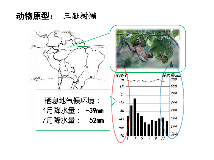 沪教版六年级下册地理：3.3世界气候类型  热带气候 温带气候 极地和高原山地气候（共18张PPT）