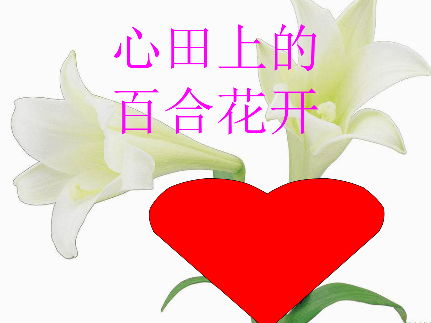 课件预览