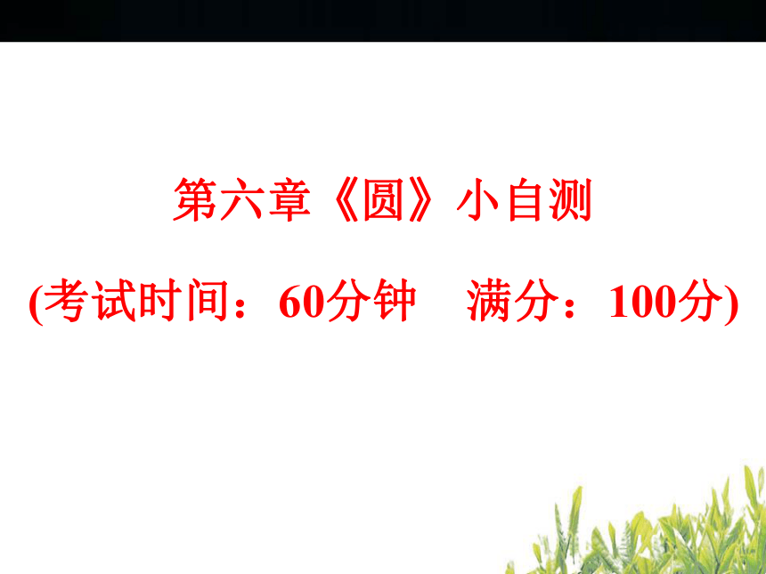 2018年浙江中考数学复习 圆 小自测（57张PPT）