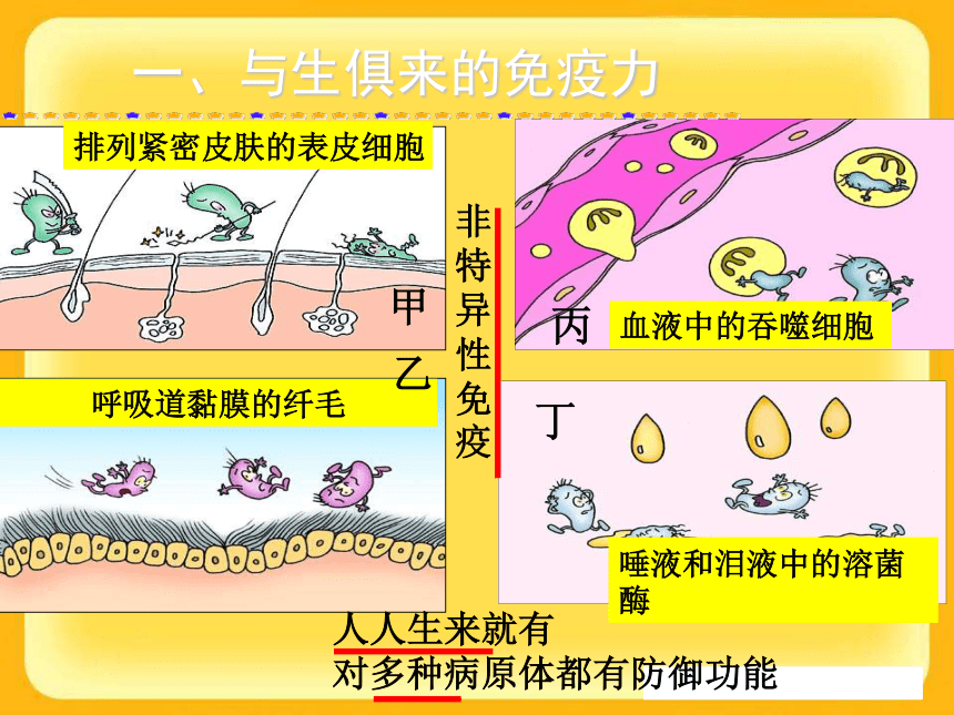 济南版七年级下册（新）第三单元第六章《免疫与健康》复习课件（共33张PPT）