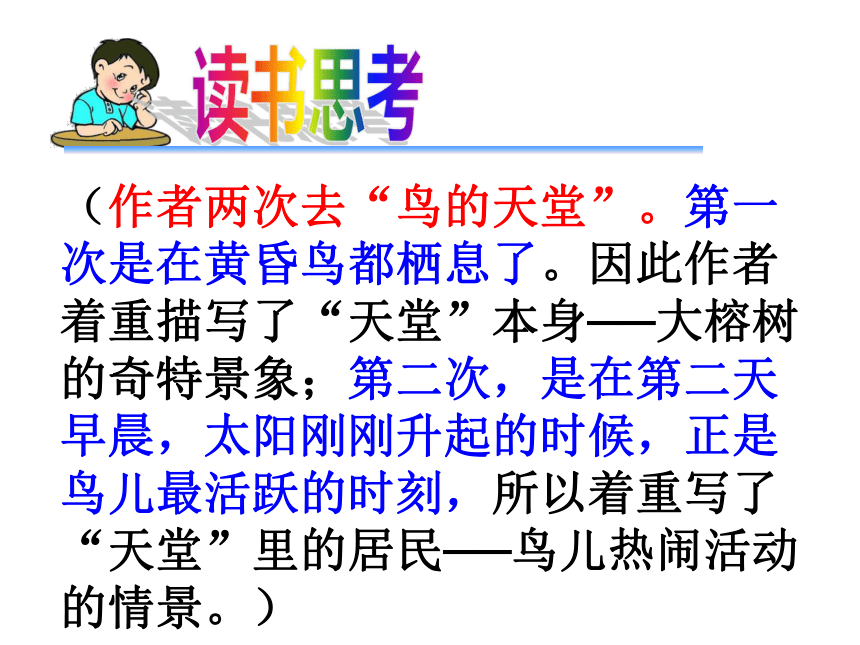 语文五年级下北京版1.3《鸟的天堂》课件（51张）