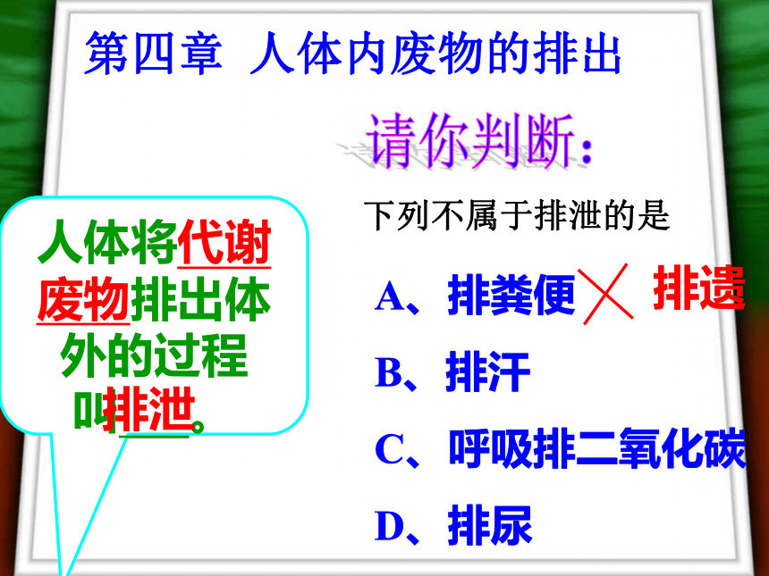 第一节 尿的形成与排出