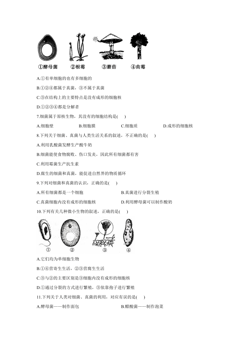 （人教版）河南省郑州市2020-2021学年八年级生物寒假必做作业（5）细菌和真菌（Word版，含解析）