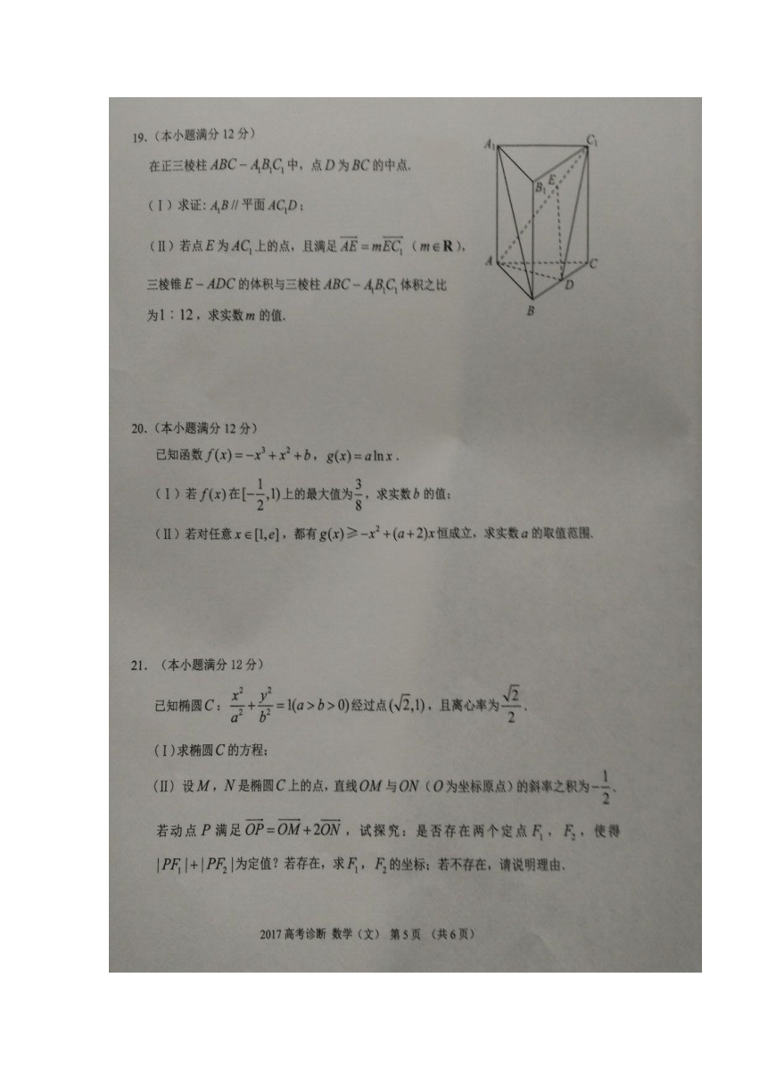 甘肃省兰州市2017届高三下学期一模考试数学（文）试题 扫描版含答案