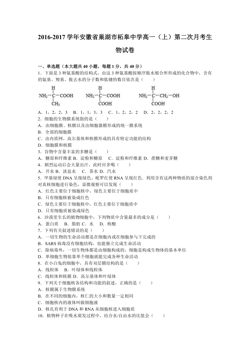 安徽省巢湖市柘皋中学2016-2017学年高一（上）第二次月考生物试卷（解析版）