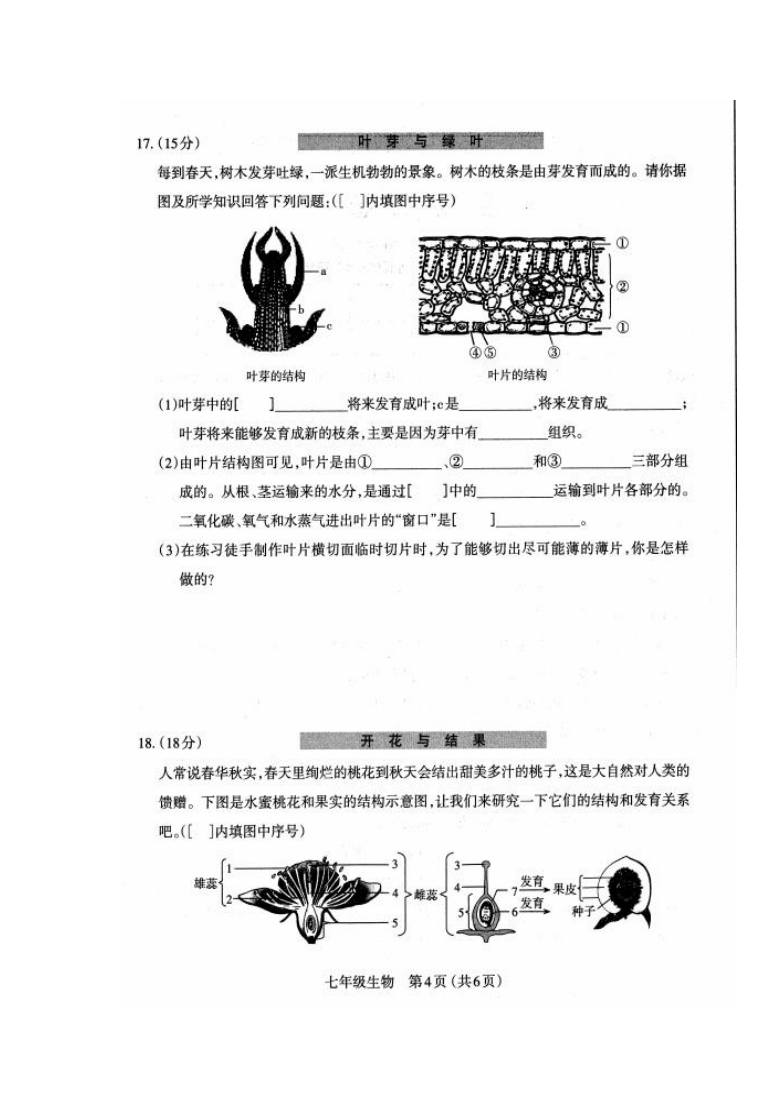 山西省太原市2020-2021学年第一学期七年级期末考试生物试题（扫描版，有答案）