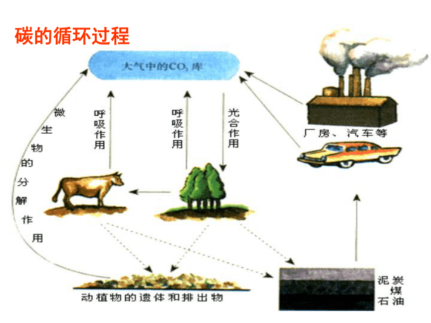 2017-2018学年人教版必修3第5章第3节生态系统的物质循环 课件（51张）