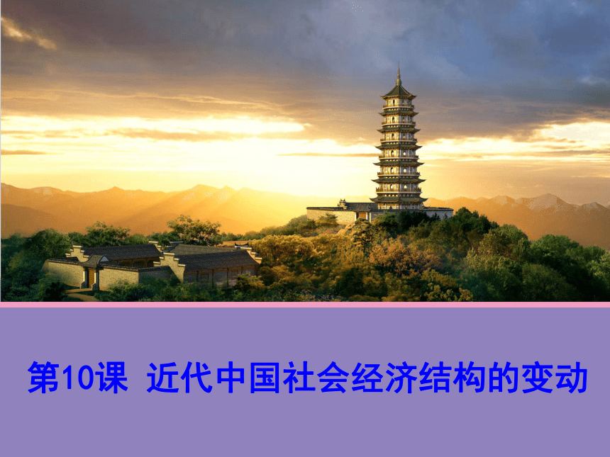 第10课 近代中国社会经济结构的变动 课件2