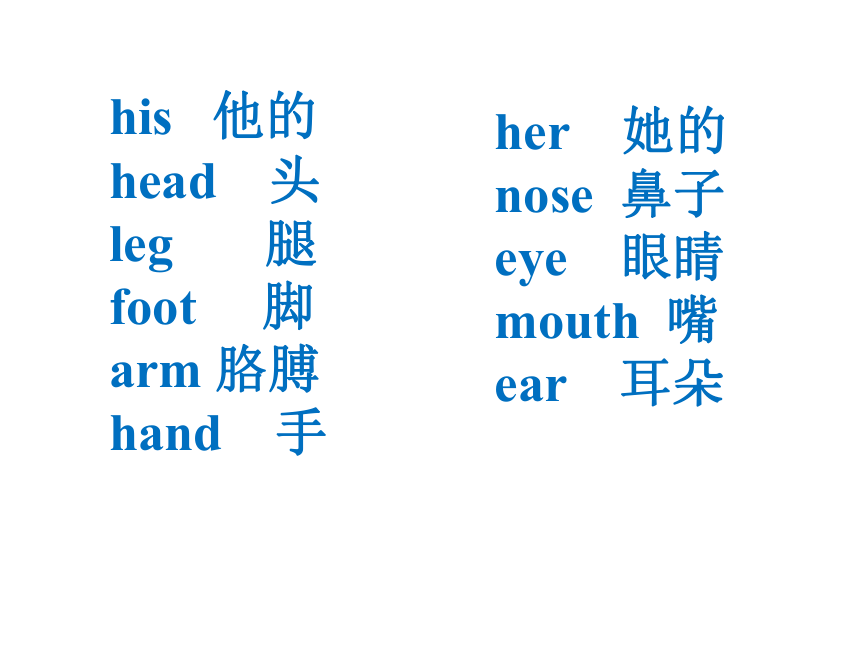 Module 10 unit 1 This is his head课件（共18张PPT）