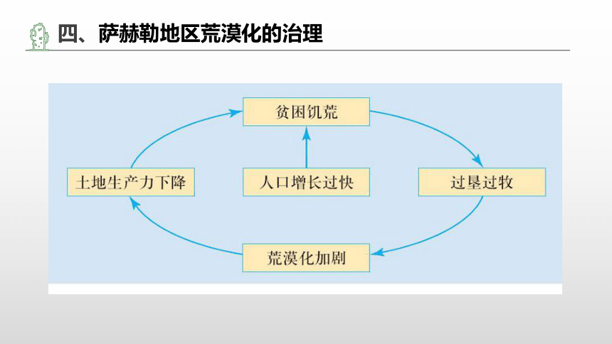 2.1荒漠化的防治——以西北地区为例课件（35张）