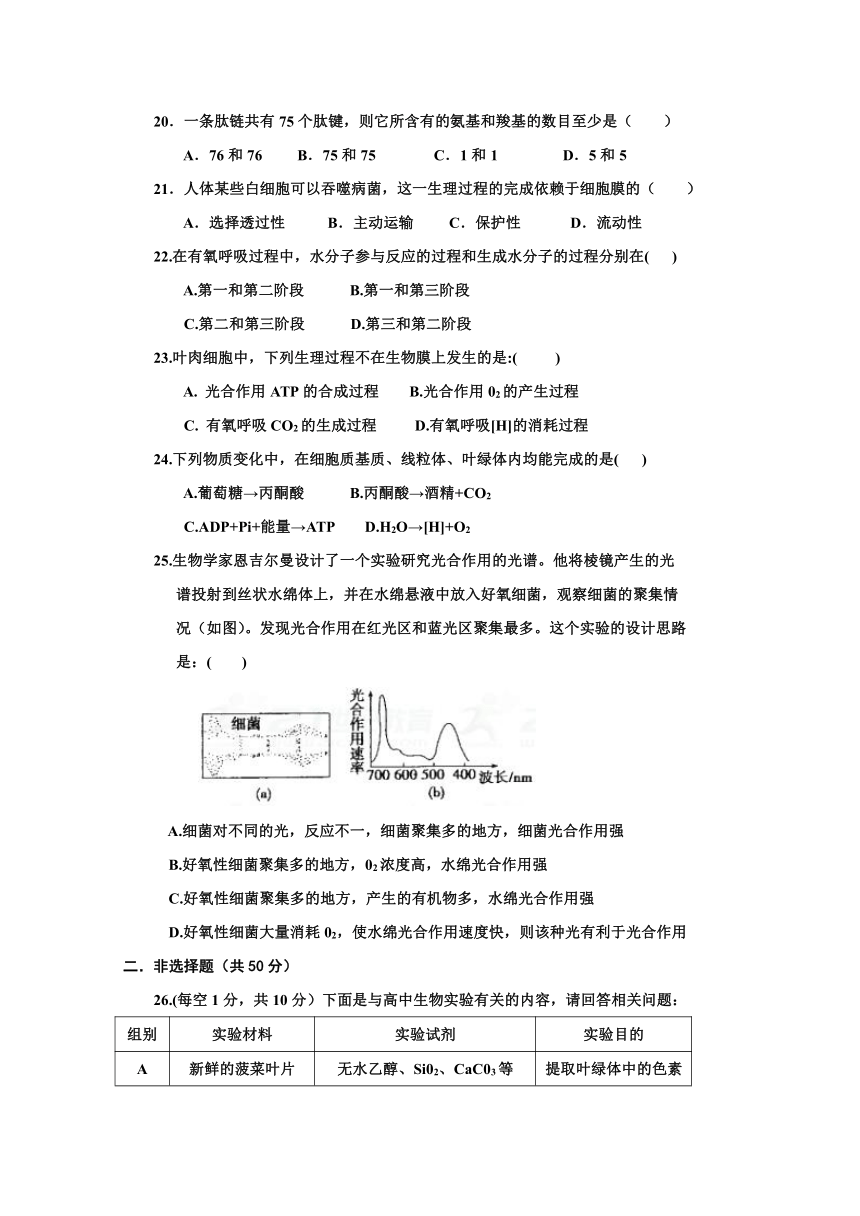 内蒙古赤峰市宁城县2017-2018学年高一上学期期末考试生物试题