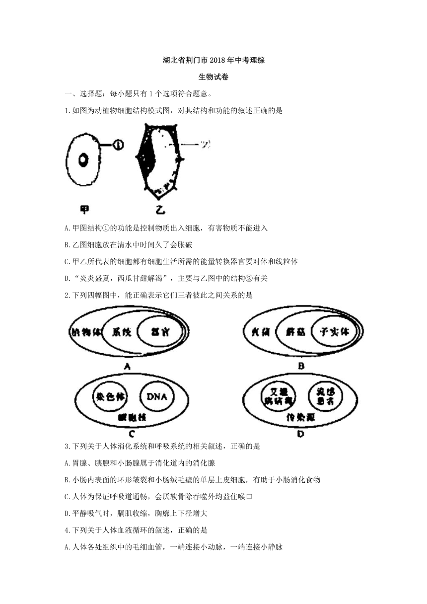 湖北省荆门市2018年中考理综（生物部分）试题（word版，有答案）