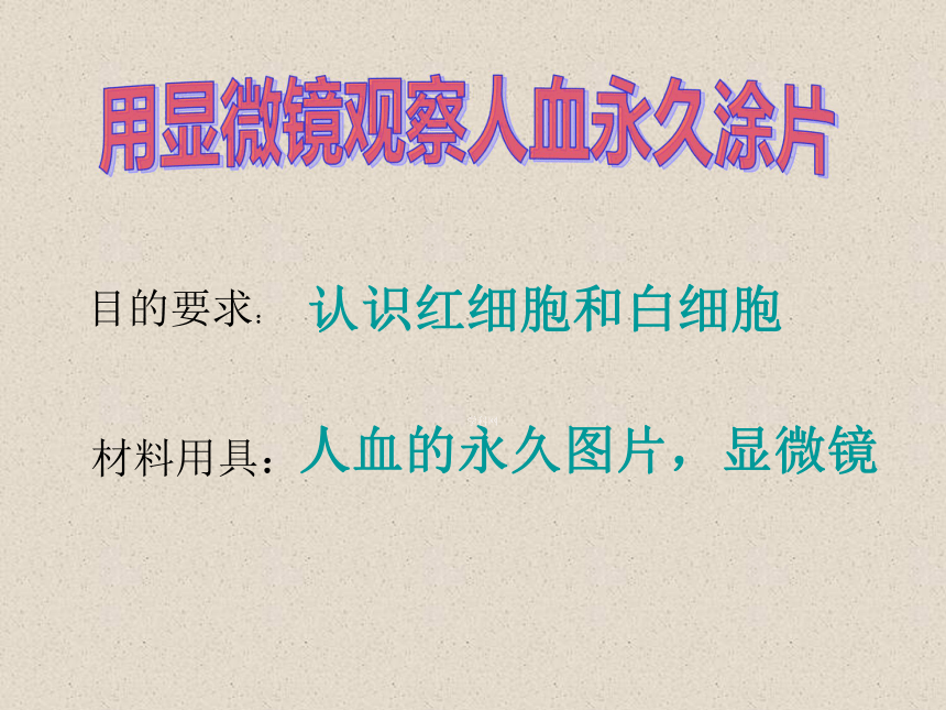 人教版初中生物七年級下冊441實驗四用顯微鏡觀察人血的永久塗片課件