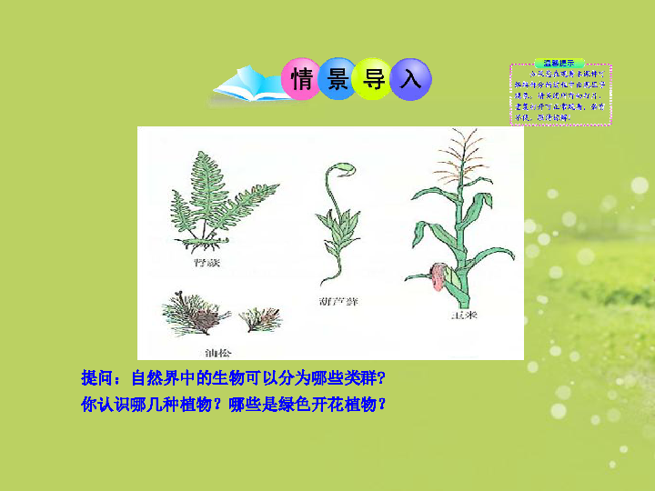 北师大版八下生物 22.3植物的主要类群 课件(30张PPT)