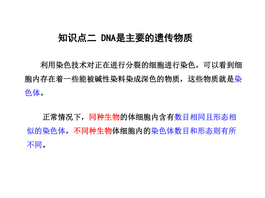 济南版八年级上册第四单元第四章第一节遗传的物质基础课件（共14张PPT）