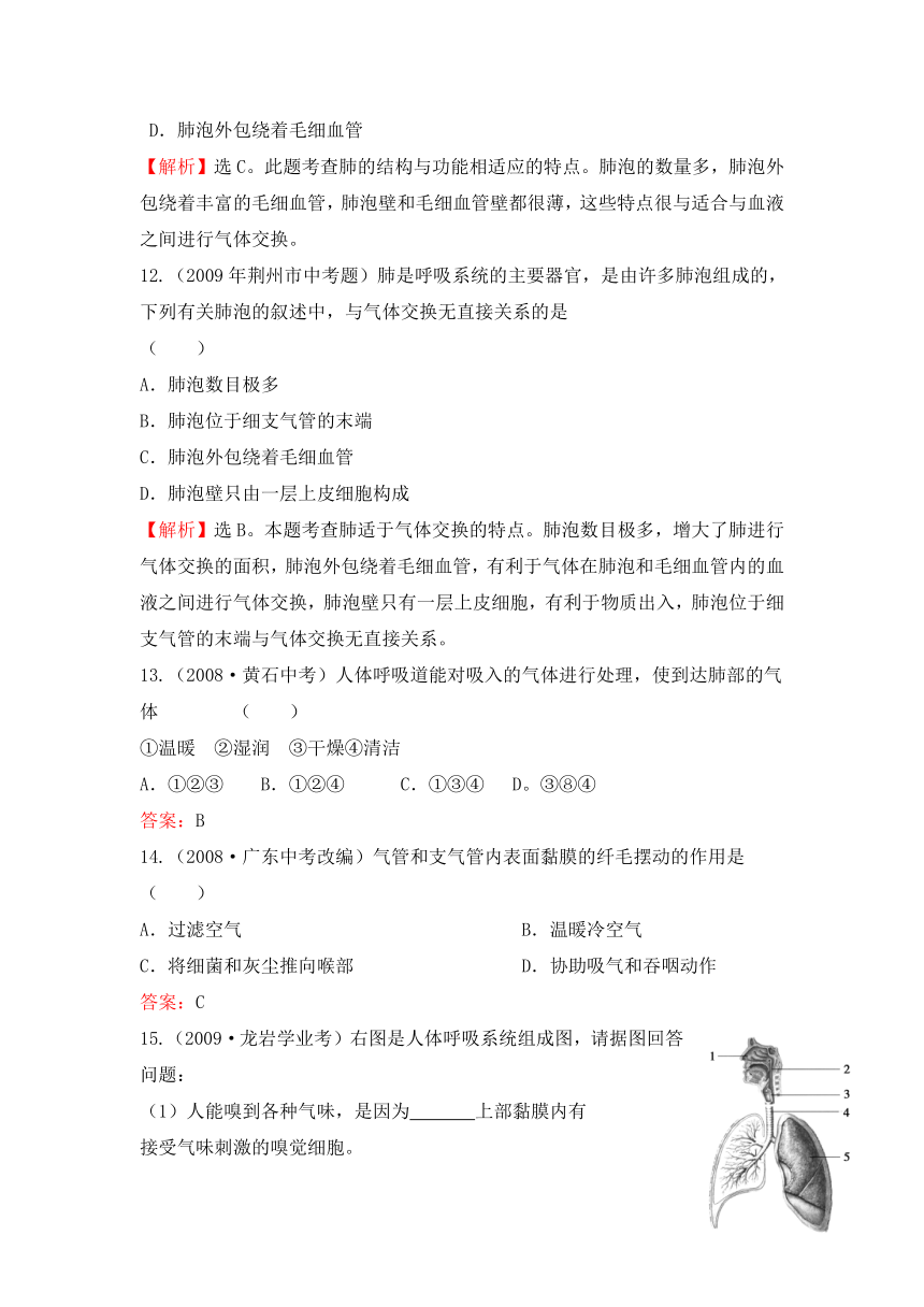 2008-2011全国各地中考生物分类详解中考题库九生物圈中的人——呼吸