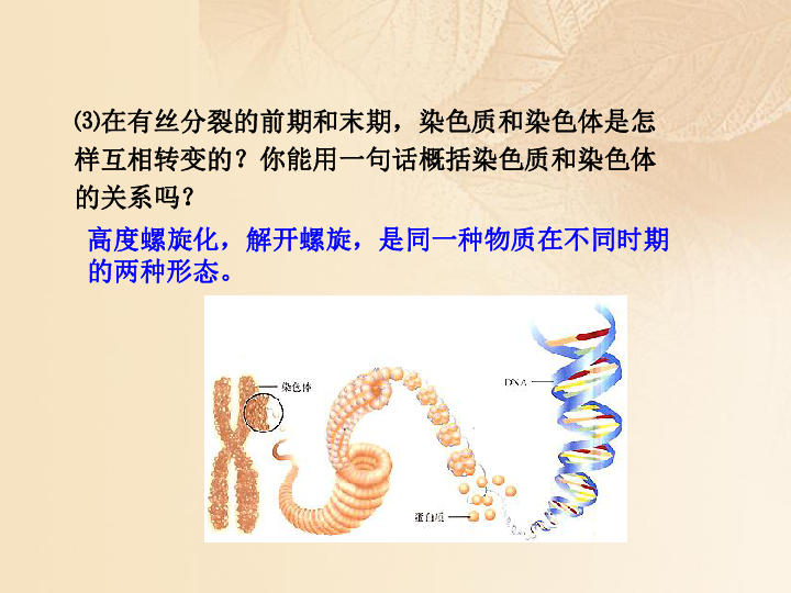 2019高中生物第二章染色体与遗传2.1减数分裂中的染色体行为课件浙科版必修2（38张）