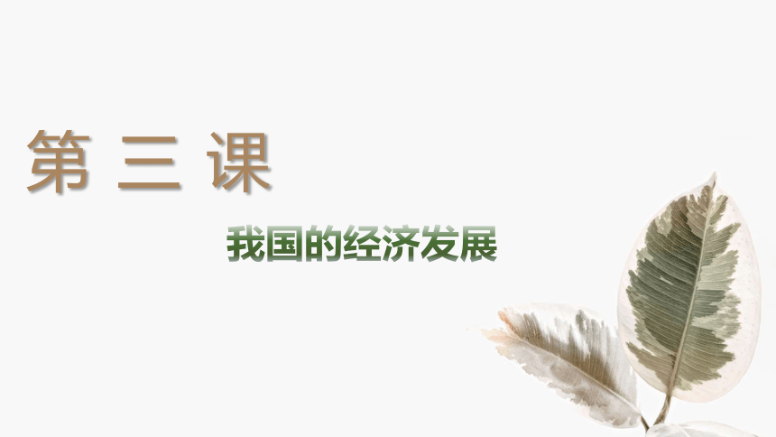 高一政治单元复习第二单元经济发展与社会进步课件41张ppt