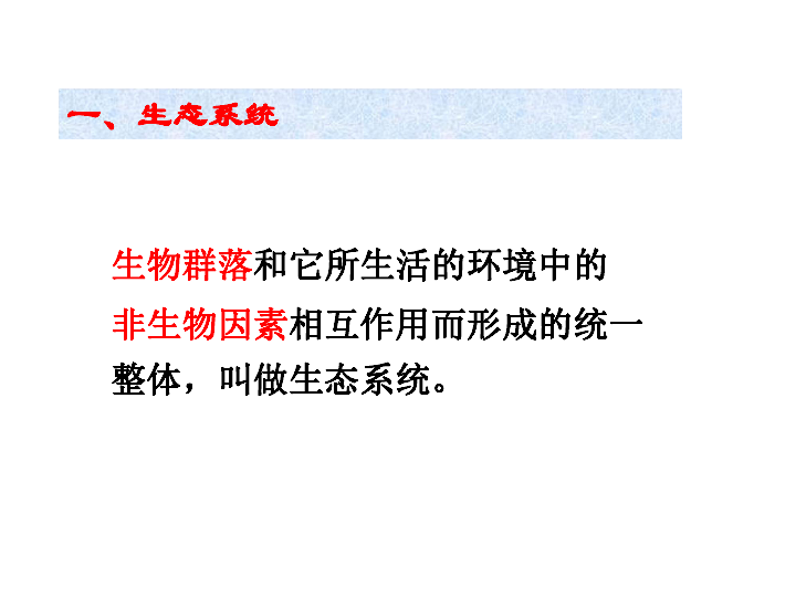 2.4 生态系统的结构和功能 课件(共36张PPT)