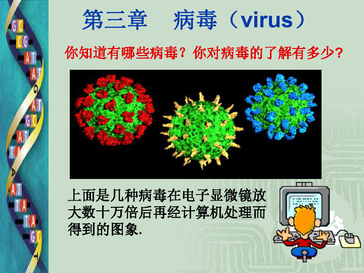 第二单元 生物体的结构层次 第四章 没有细胞结构的微小生物—病毒