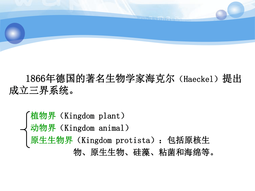 广东省东莞中学生物竞赛辅导植物生物学——植物分类学（共64张PPT）