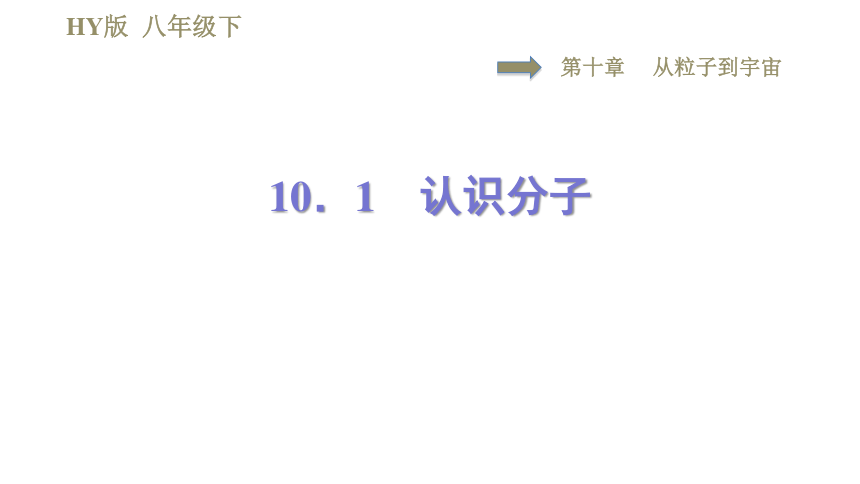 沪粤版八年级下册物理习题课件 第10章 10.1认识分子（32张）