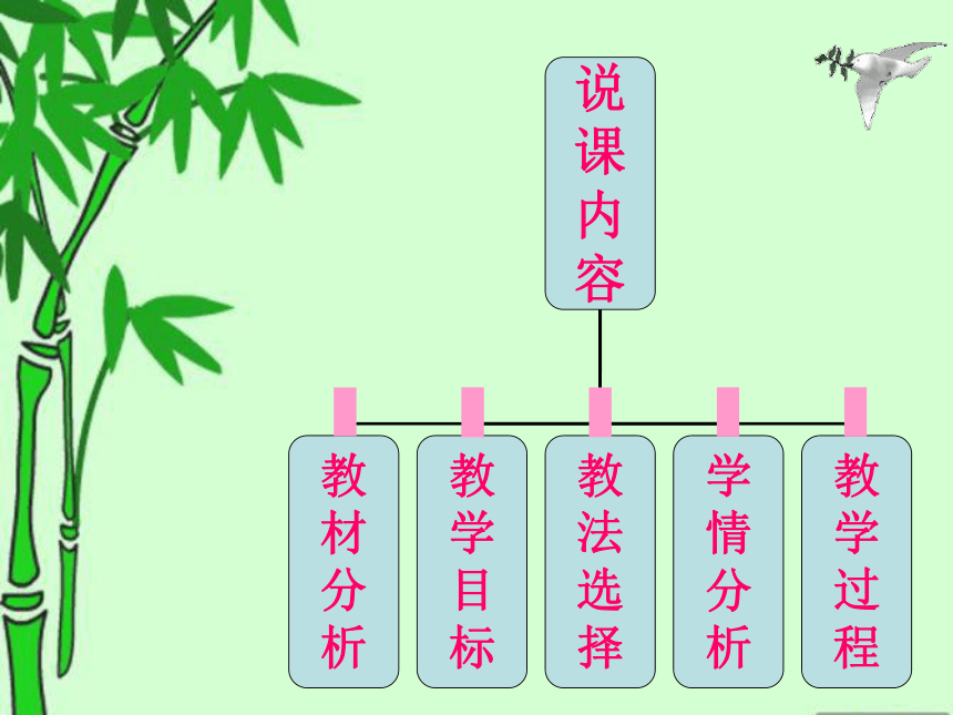 1.5酸和碱之间发生的反应说课