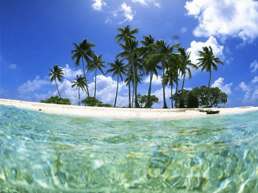 28《浅水洼里的小鱼》课件（40张）