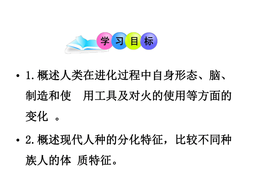 济南版生物八下5.2.2人类的进化 课件（22张ppt）