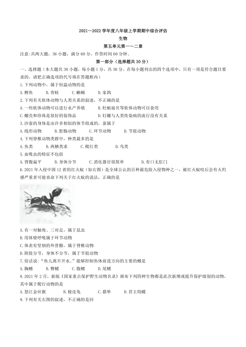 陕西省西安市高陵区2021-2022学年八年级上学期期中生物试题（word版 含答案）