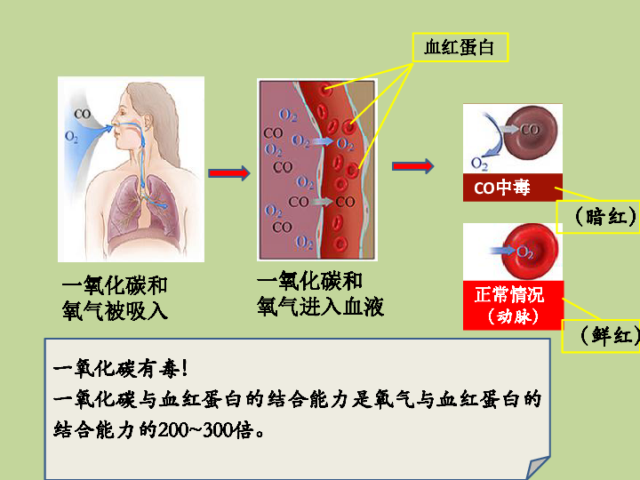 人教版九年级化学上册课件：6.3.2一氧化碳(共20张PPT)