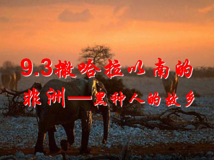 晋教版七年级下册地理课件：9.3撒哈拉以南的非洲——黑种人的故乡 (共39张PPT)