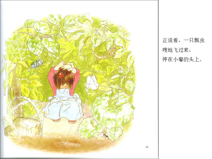 叶子小屋 一年级语文绘本故事阅读(PPT版）