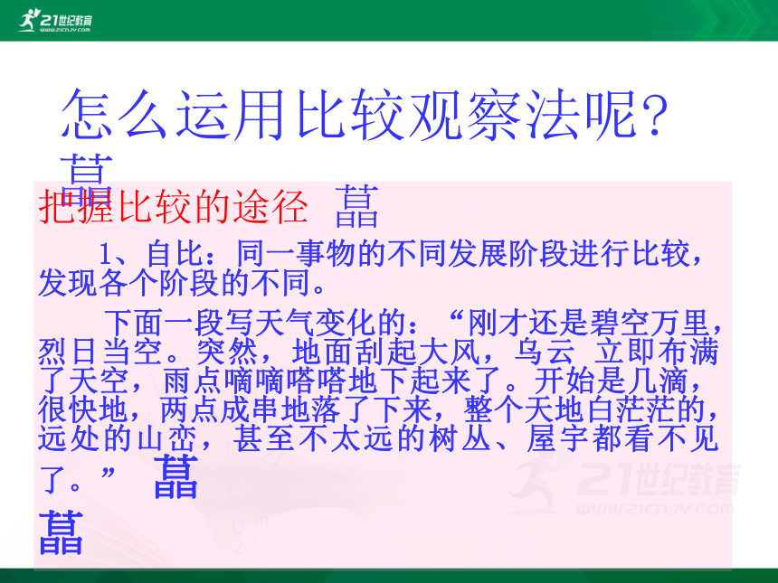 小学语文学科作文  8 名画“正午牡丹” 课件