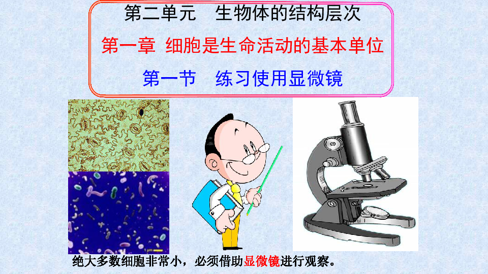 人教版七年级生物上册2.1.1练习使用显微镜课件(共71张PPT)